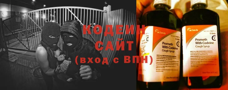 Codein Purple Drank  MEGA рабочий сайт  Апшеронск  где купить наркотик 