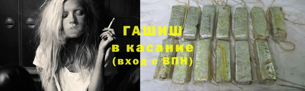 шишки Богородицк